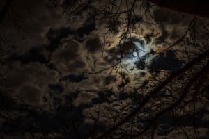 Moon covered by clouds and brances