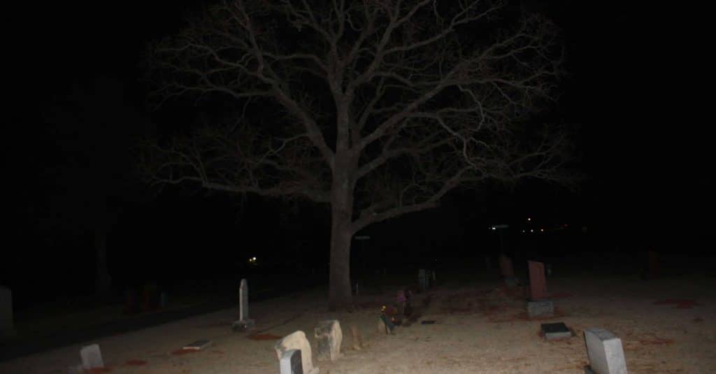 Cemetery with tree