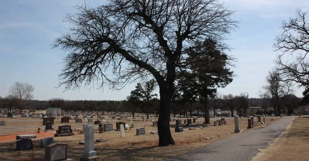 tree and path at Blanchard Cemetery