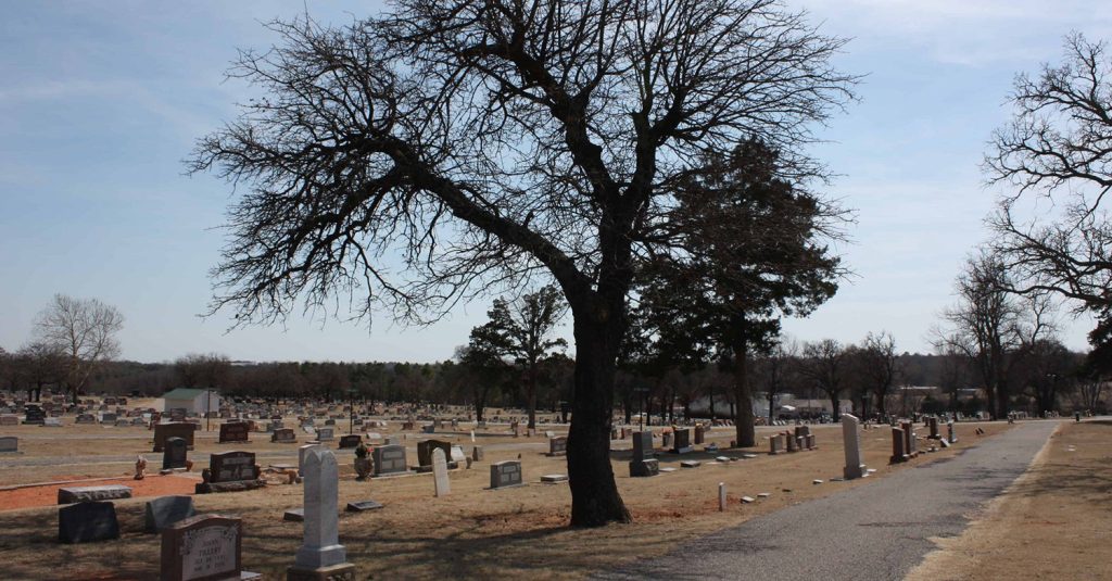 tree and path at Blanchard Cemetery