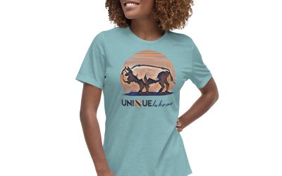 Uniquelahoma Misty Moon Bison – Women’s Relaxed T-Shirt